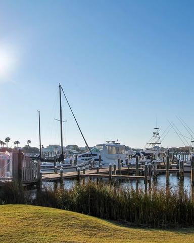 Waterfront marina with sailboats and fishing vessels docked at wooden piers, residential building and palm trees visible along the shore