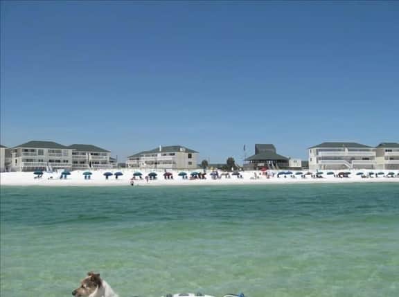 Sandpiper Cove, unit 1228 - Image 4