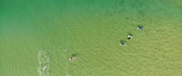 Aerial view of surfers paddling in clear emerald green water