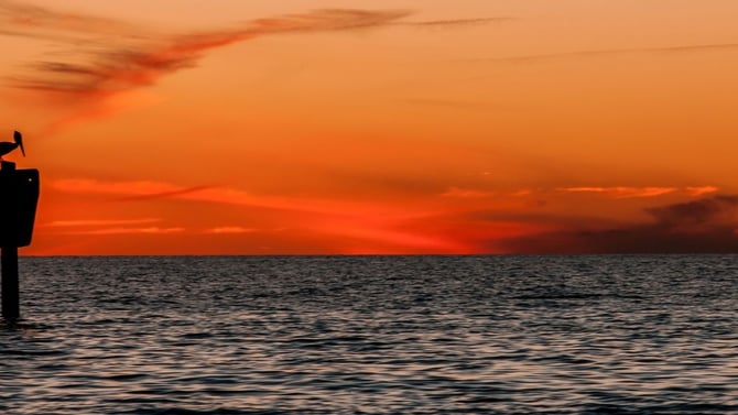 View of Gulf